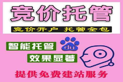 百度网络推广实战案例：从零开始打造爆款品牌